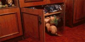 别以为站那么远就射不着你,真是浪费一桶酒