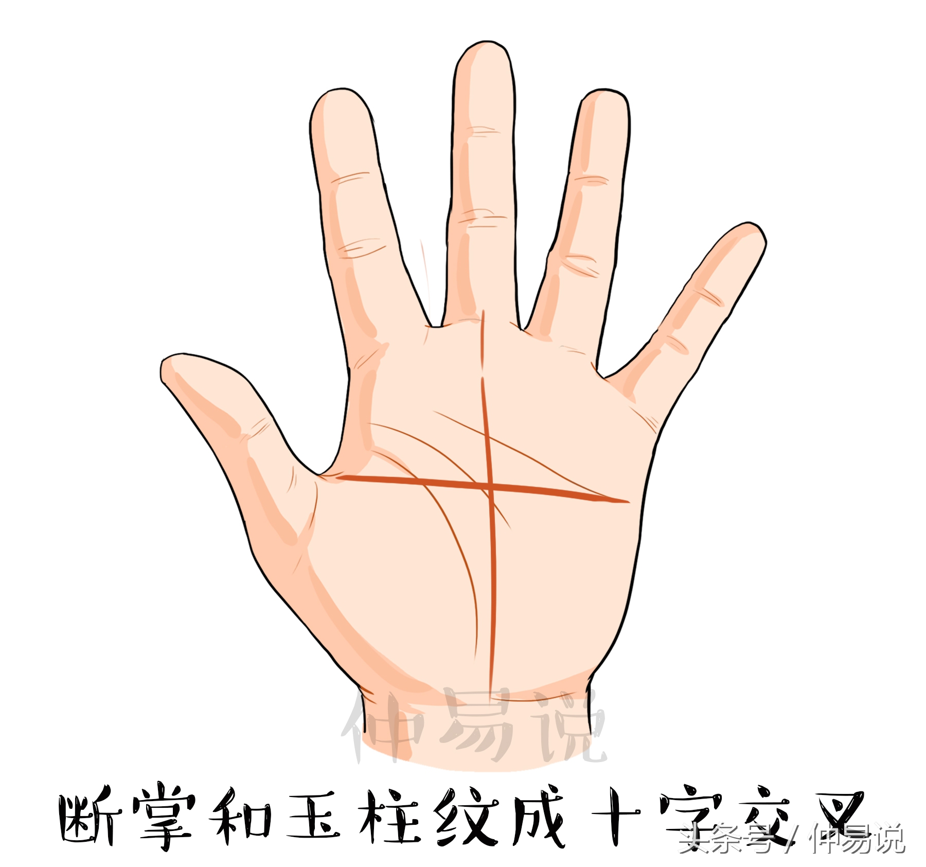 断掌的人十大特征,断掌是从头到尾还是从中间开始