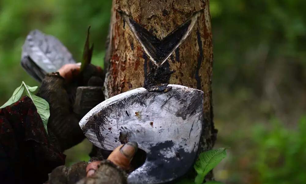 生漆的好处与坏处,生漆有必要吗