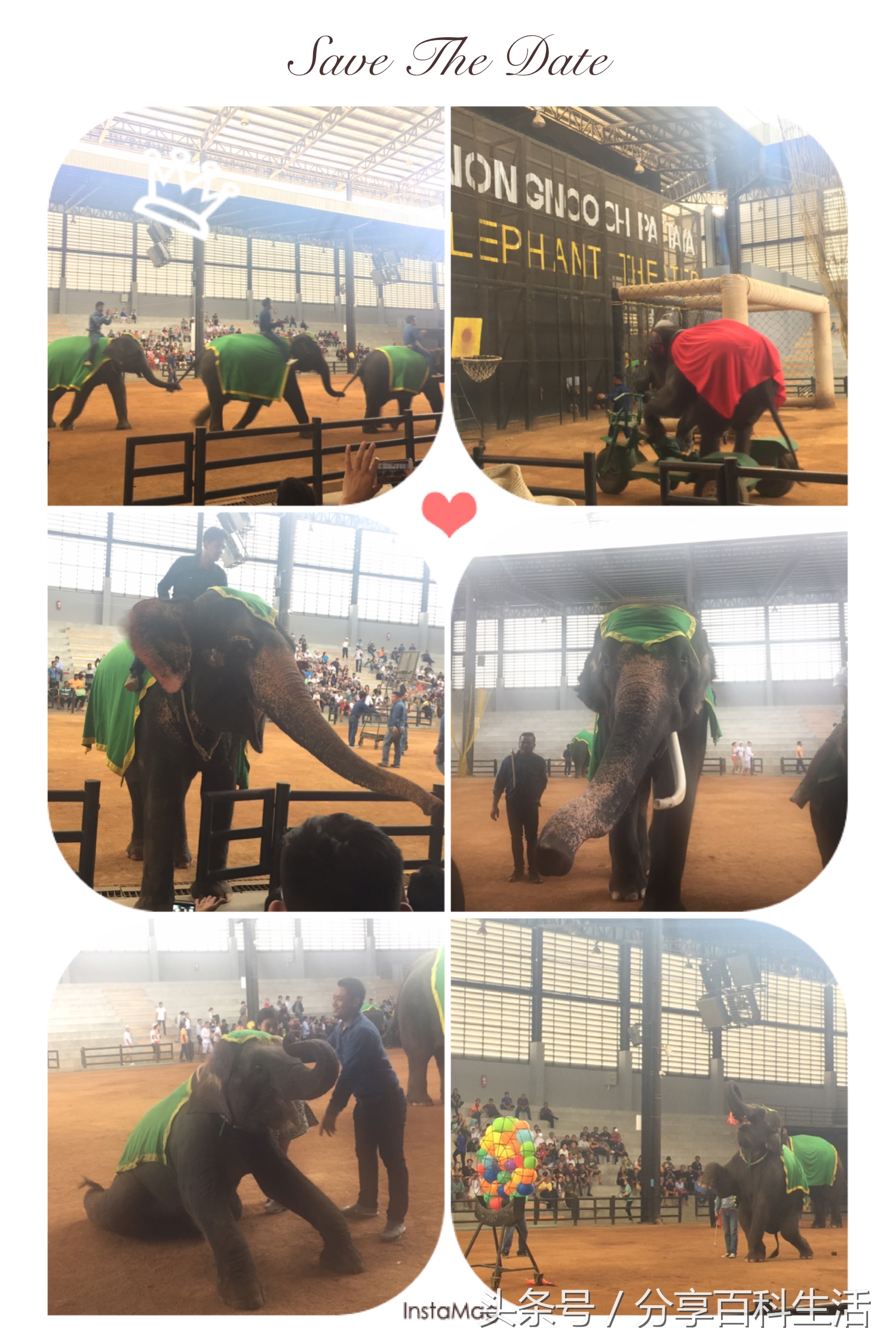 掌握这些技巧，轻松玩转芭提雅自由行！