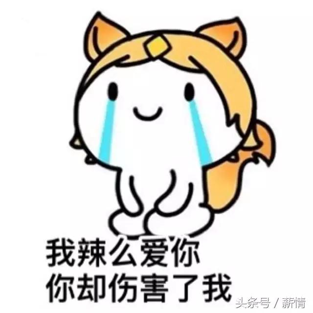 求职季，当智联都靠刷新简历赚外块时，薪情帮你想了个办法