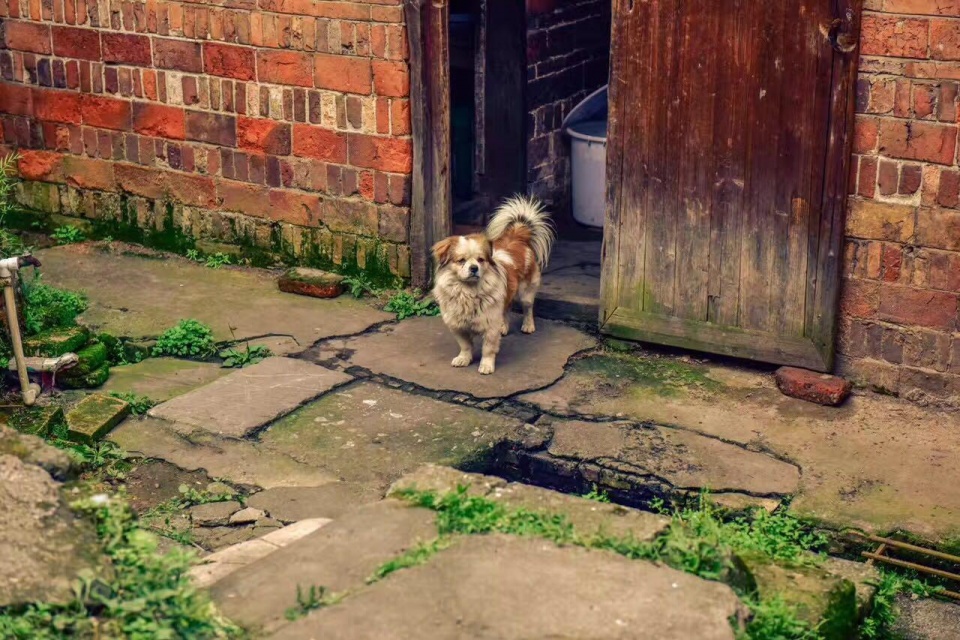 宜春：一座即将“消失”的城市！再看多几眼吧！