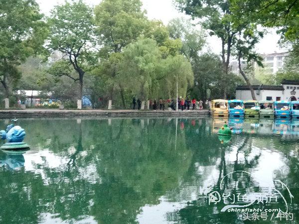 野钓日记第17期,野钓日记19天