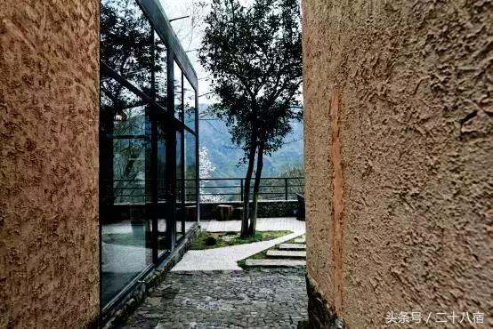 老树林,老树林春夏秋冬