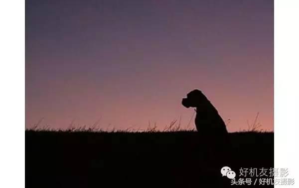 简单介绍黄金分割线构图法的原理,黄金分割线原理