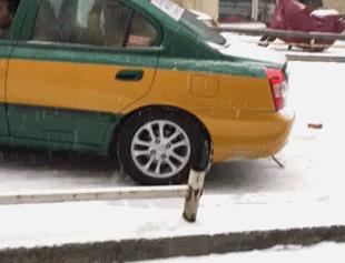 总有一瞬间感觉眼前的事发生过,总感觉要发生什么大事