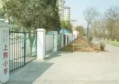 洛阳洛龙区学区房还值得入手吗,洛阳学区房的未来走势