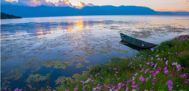 刘诗诗婚礼林依晨,刘诗诗吴奇隆度蜜月