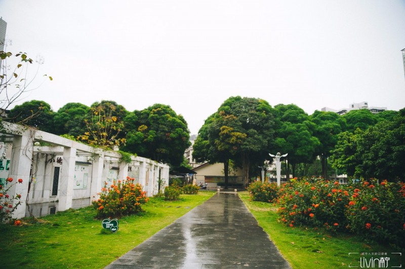 南宁青少年宫老照片,南宁市西乡塘区少年宫