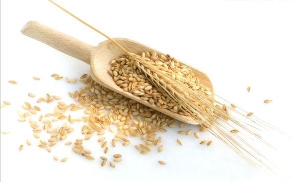 有种脚气不是香港脚而是江户脚，还曾经搞死了日本的最高统治者