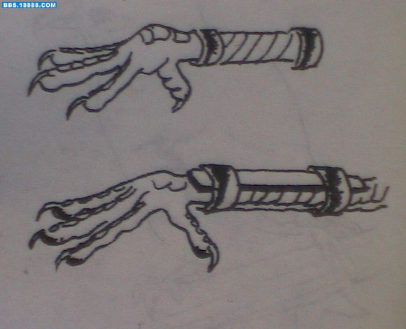 宠物八哥讲解,八哥犬常见的疾病有哪些