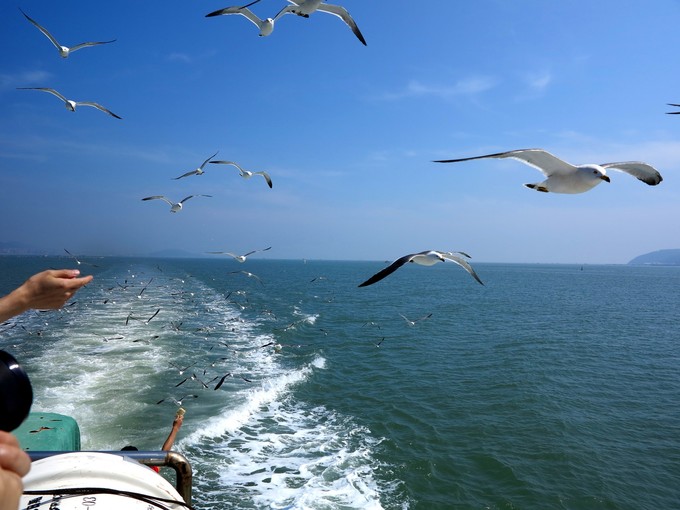 烟台蓬莱长岛两日游景色美极了,烟台长岛三日游攻略