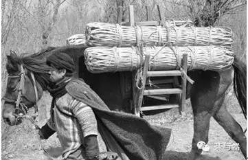 中国著名的茶安化黑茶,世界名茶安化黑茶