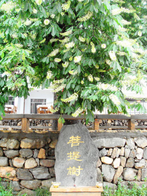 怎么祛除腹部湿气寒气,祛除体内湿气寒气的药