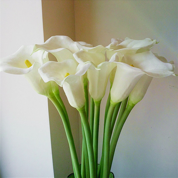 马蹄莲埃塞俄比亚国花,马蹄莲还是埃塞俄比亚的国花