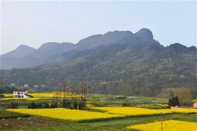 2022成都春季赏花地图,成都赏荷地图出炉啦