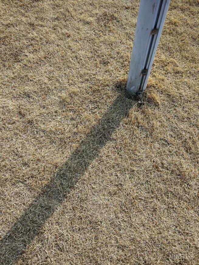 小米5拍照效果,小米5有拍照吗