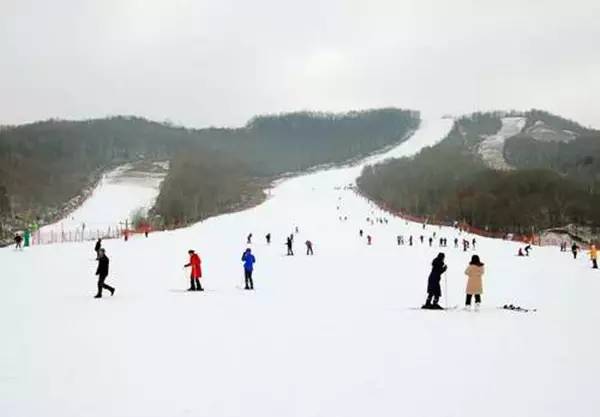 郑州春节滑雪好玩的地方排行榜,郑州桃花峪滑雪场门票