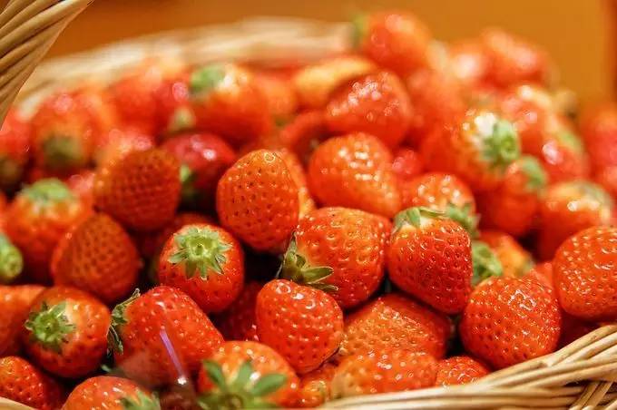 最强水果攻略,最强攻略放送