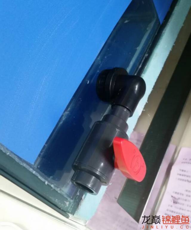 地缸推荐,家里可以搞个多大的地缸