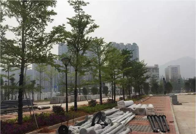 南山三甲医院,南山三甲医院有哪些