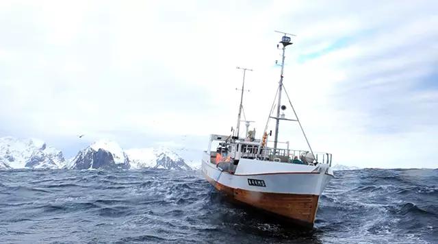 除了北冰洋还有什么洋,挪威什么鱼好吃