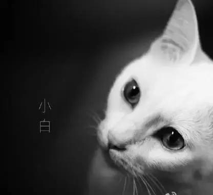 周柏豪361度 (周柏豪10周年)