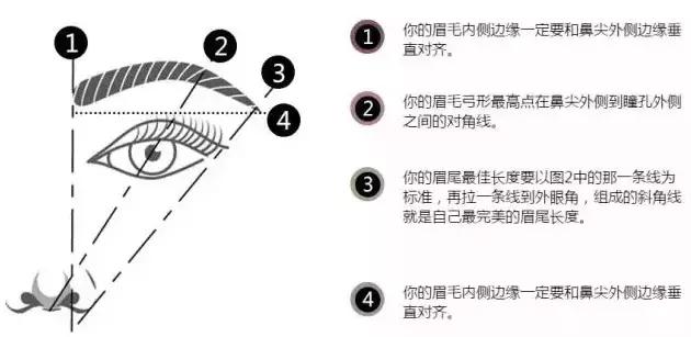 画眉毛才会好看,画眉毛5个点
