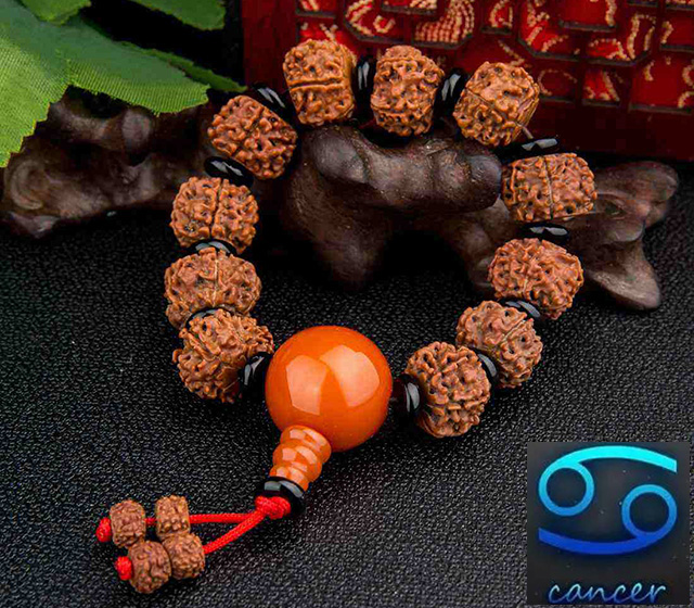 文玩中12生肖佩戴什么手串 (不同星座适合的文玩)