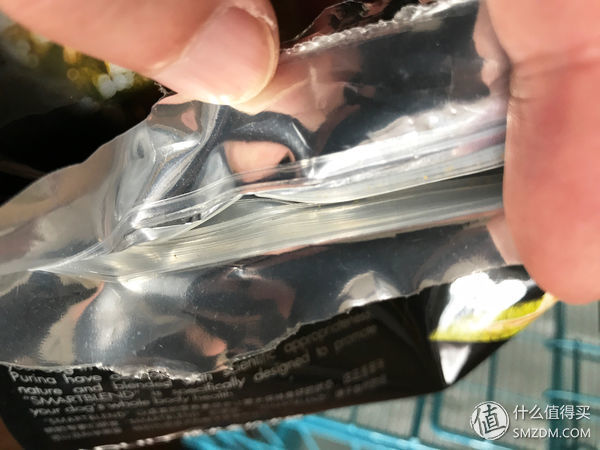 目测托米你要火!丝倍亮成犬全价托米亲吃评测以及托米的成长史