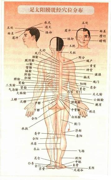足太阳膀胱经的锻炼方法,足太阳膀胱经怎么缓解疼痛