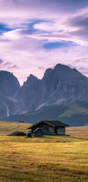 美到窒息，猎户座8895处理器——韩版三星s8系列