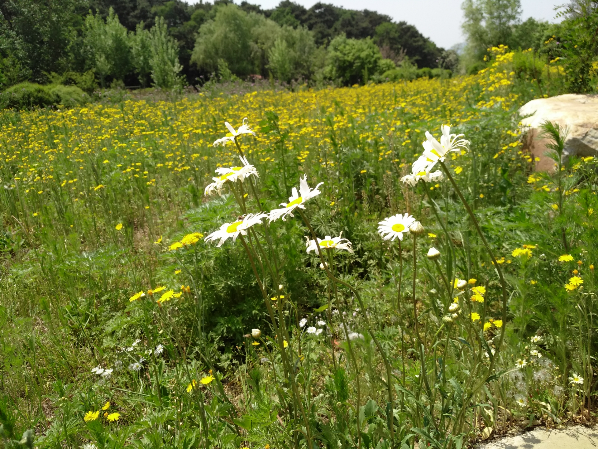 三菱帕杰罗v972020款试驾,2019三菱帕杰罗劲畅试驾视频