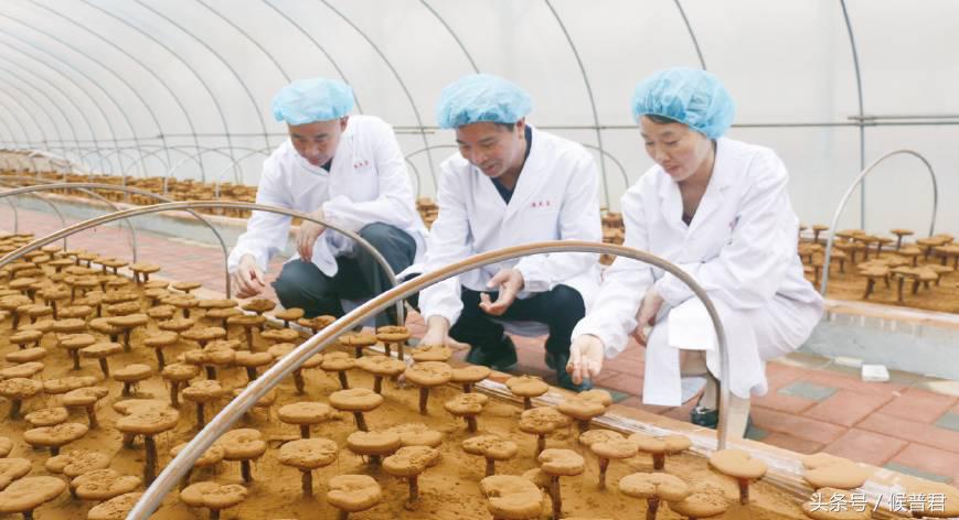 康美来董事长,康美来商学院院长