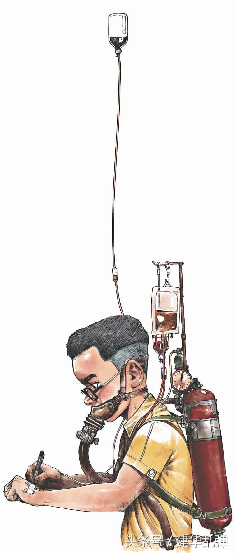 高三抗疲劳补脑保健品排行榜,高三学生保健品有哪些