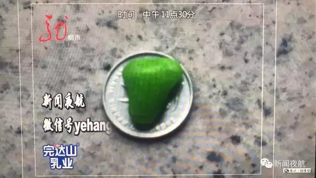 女孩把糖果塞鼻孔妈妈生气哭了,小孩把糖豆塞到鼻孔里