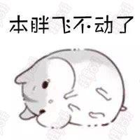 刚和老公谈恋爱笑话,和老公谈对象的笑话