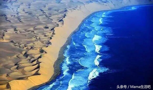 陈柏霖斑马外套同款,陈柏霖同款鞋子