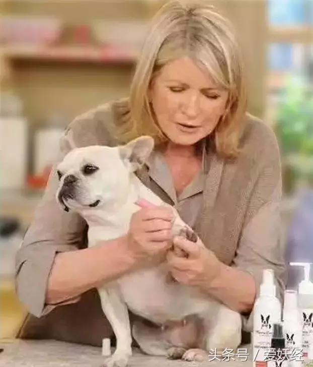 爱妖经｜亲子装，亲子包……现在连美甲都要同款了？