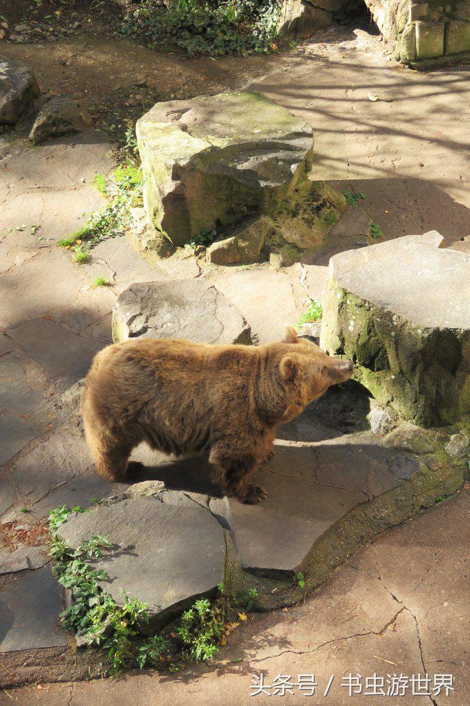 ck小镇旅行纪录片,ck小镇奥地利