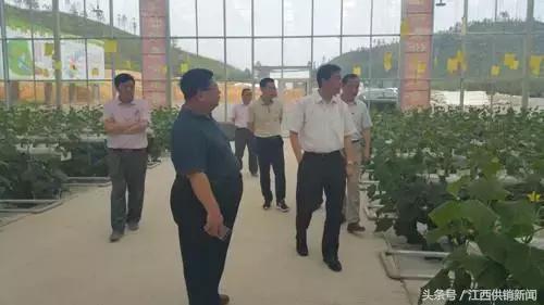 深改督查方案,深改组教育督导