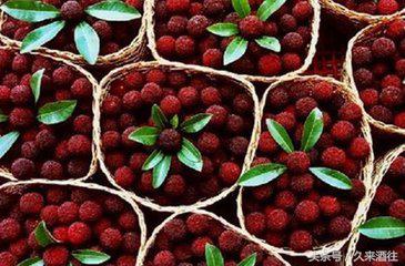 杨梅酒制作与功效的描写,杨梅酒的制作配料