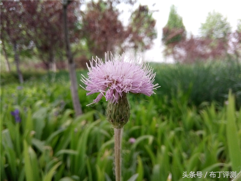 裸眼真能体验震撼出屏？这款裸眼3D手机告诉你答案！