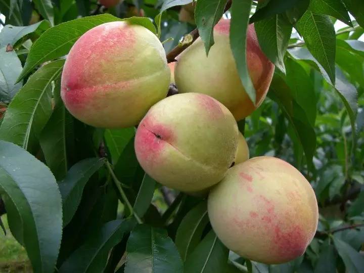 您有一封邀请函朗读,您有一封邀请函