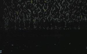 dior大秀预告片,dior令人震撼的秀