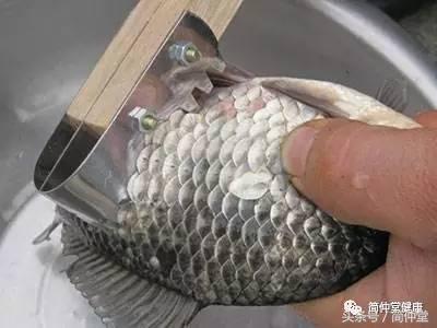 吃鱼鳞的危害,鱼鳞怎么吃