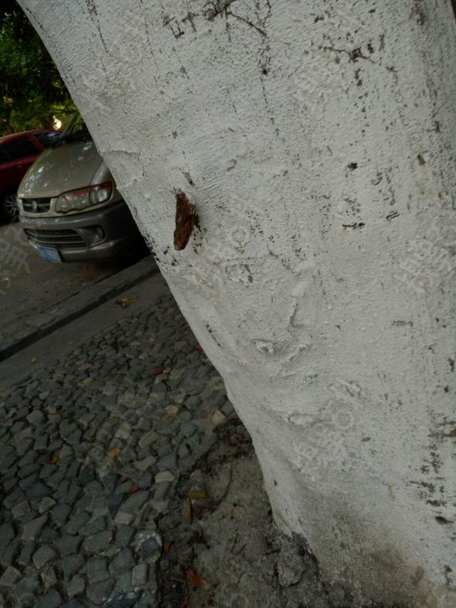 十条笑话公司裁员,十条笑话绝对让你笑掉大牙