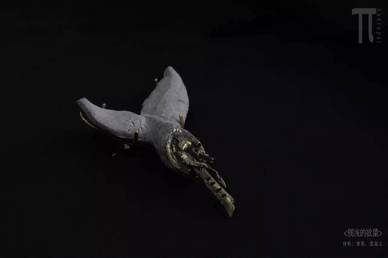 北京工业大学事件,北京工业大学研究生事件