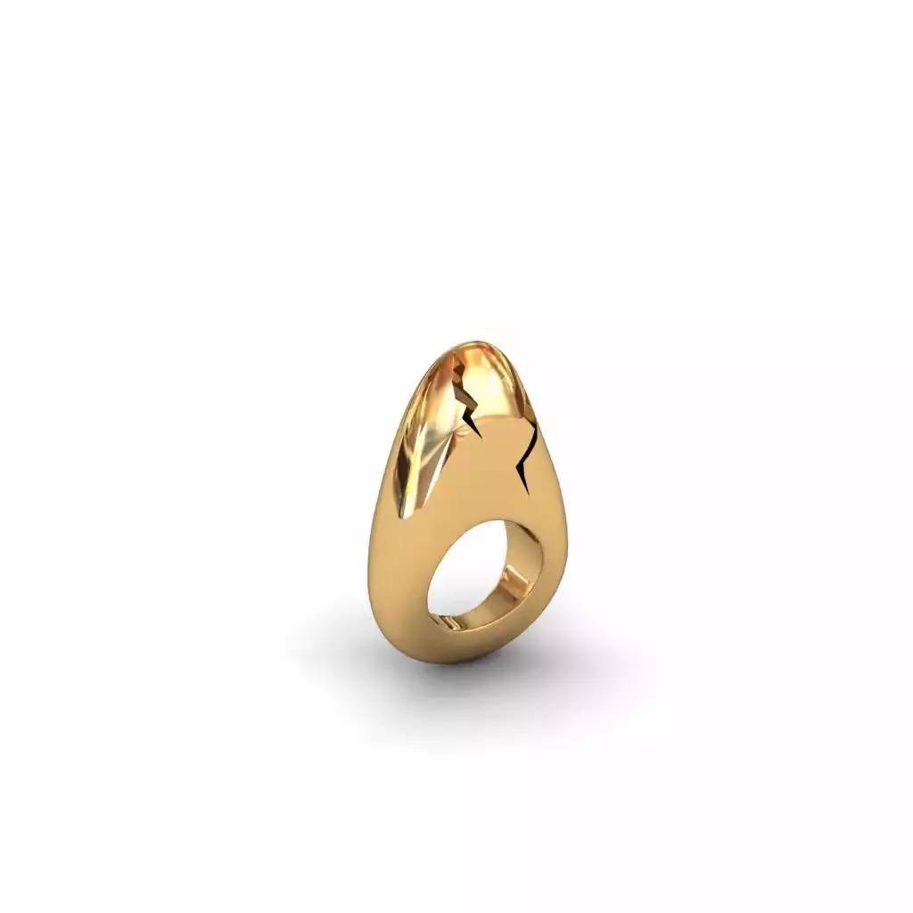 北京工业大学事件,北京工业大学研究生事件