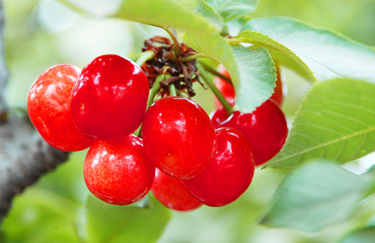 想变成漂亮的仙女吗,想变成美少女被人宠爱